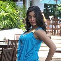 Payal Ghosh New Hot and Spicy Gallery | Picture 90605